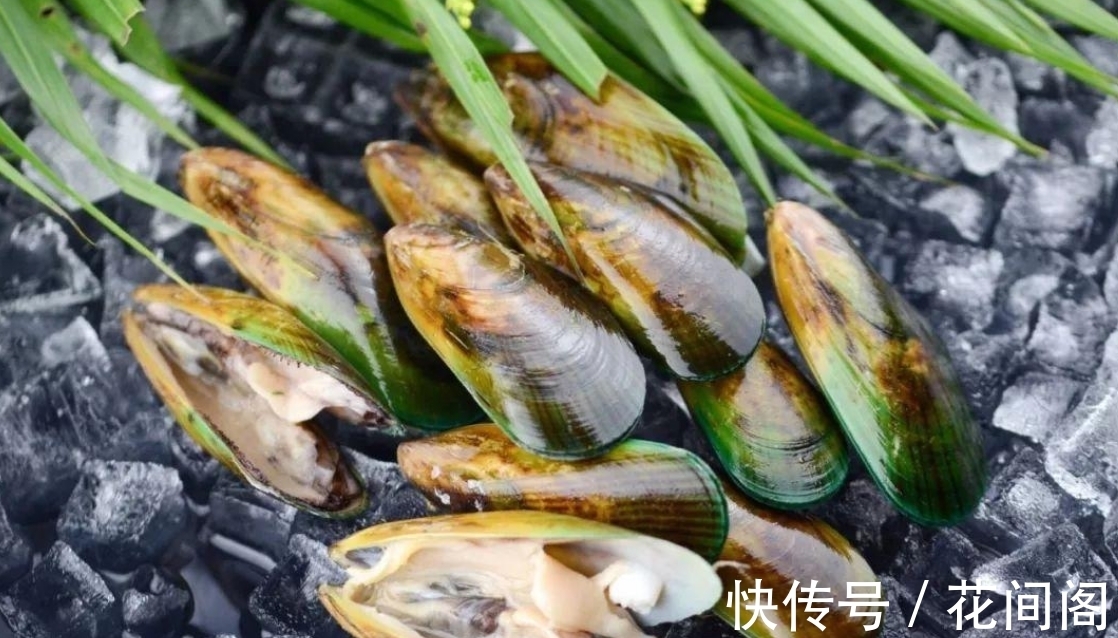 织纹螺|比眼镜蛇毒强80倍的剧毒，为何出现在吃了几十年的海鲜里？