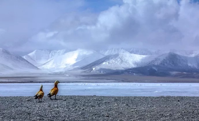 南迦巴瓦|只是走过这10个美丽的地方，爱上旅行，不需要太多的理由