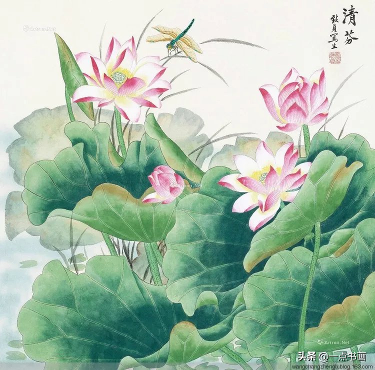 芙蓉#俞致贞 画荷，芙蓉出水，风情无限