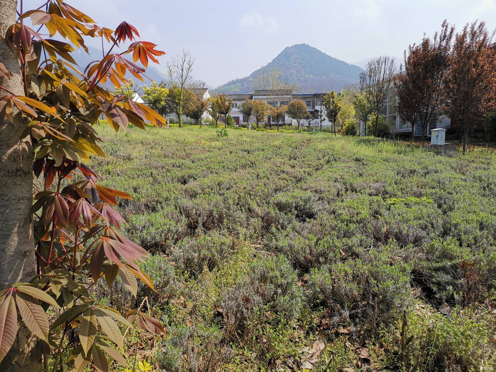 【陕西是我家】渭南天留山小镇透个气