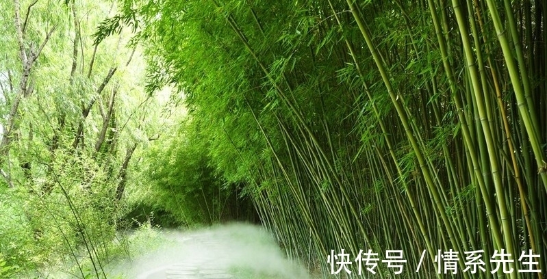 王徽之|清风在竹林,送你三首咏竹古诗,领略诗人高尚情怀