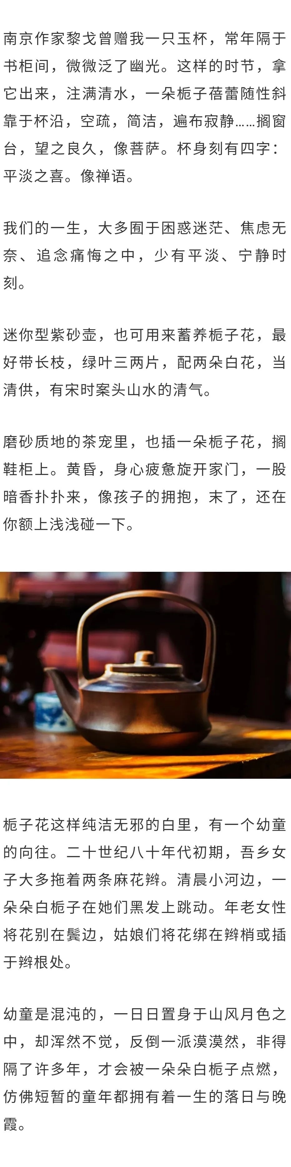 西湖龙井|「品读」看花里春秋，重返生活中平淡宁静的时刻