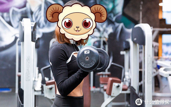 背阔肌|百元内最高效划算减肥、燃脂、塑身器械推介，瘦起来效果挡不住（动图多慎重）