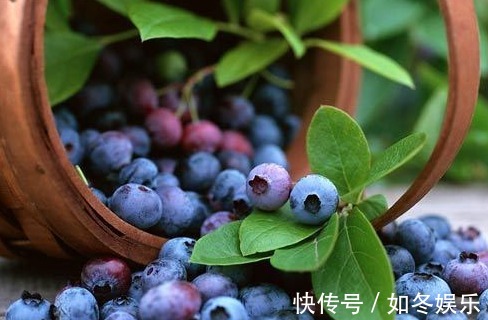 保护|视力不好的人,不妨常吃此水果,保护眼睛,增强视力,效果显著