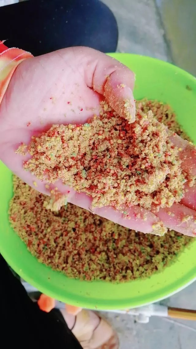 杂鱼|小鱼闹窝,教你几招,其中一招“以毒攻毒”极端法,百试百灵