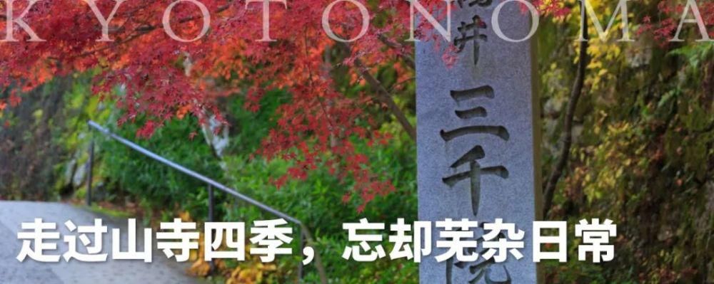  缪斯|青莲院：皇室贵族的修行圣地，文人画家的灵感缪斯