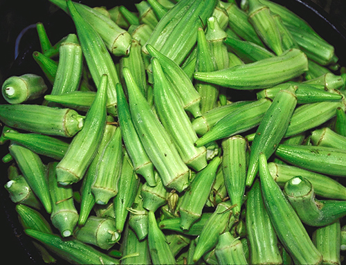 糖尿病人|这3种植物是天然的“胰岛素”,经常做菜吃,血糖降低血脂不愁