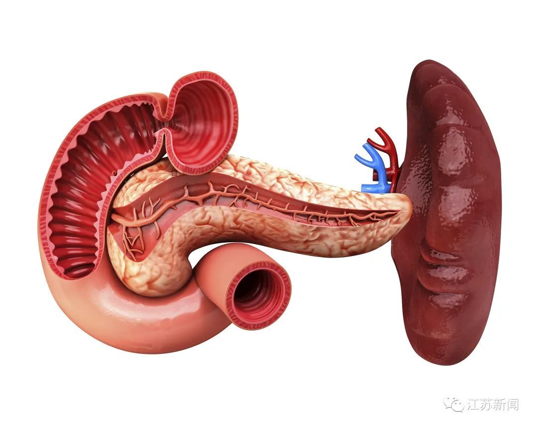 胰腺|男子连吃三只螃蟹后被送进了ICU，这个地方的问题很多人都忽略了