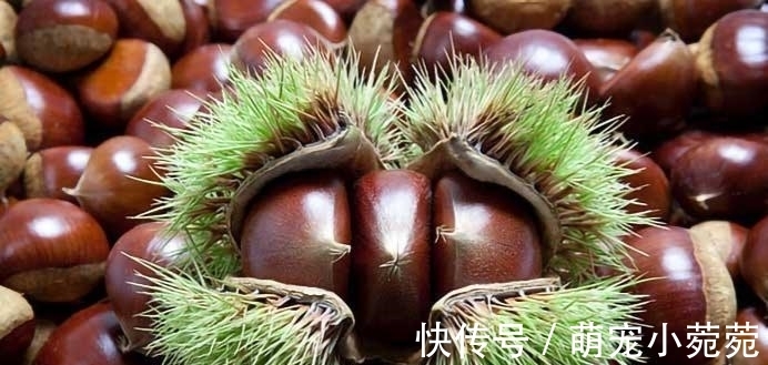 饭键|秋季健脾很重要，分享八种健脾的食物，多吃它们，顺利过秋季