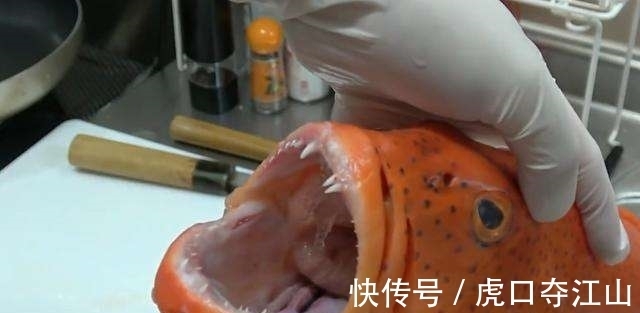 男子花高价买鱼做刺身, 切开鱼的那一刻, 再也不敢生吃肉类了