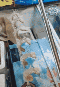 |搞笑GIF:这就是海鲜馄饨呀,就这么一个小虾米呀