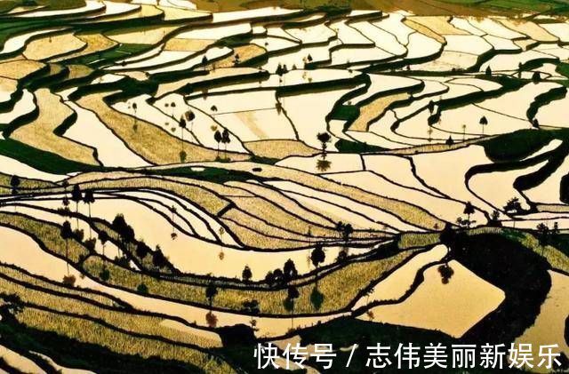 柏拉图$哲学不能升官发财,不能照顾吃喝,要哲学干什么