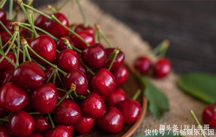 樱桃健脑益智,那么甜樱桃怎么种呢掌握4点,种出甜甜甜樱桃!