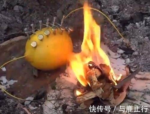 柠檬酸|男子将柠檬上插满钢钉,没想到接下来发生的事情让众人傻眼