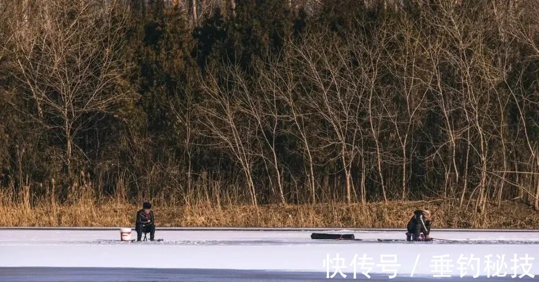 冬天钓鱼,符合这2个特点的地方就是“鱼窝”,钓鱼高手都明白