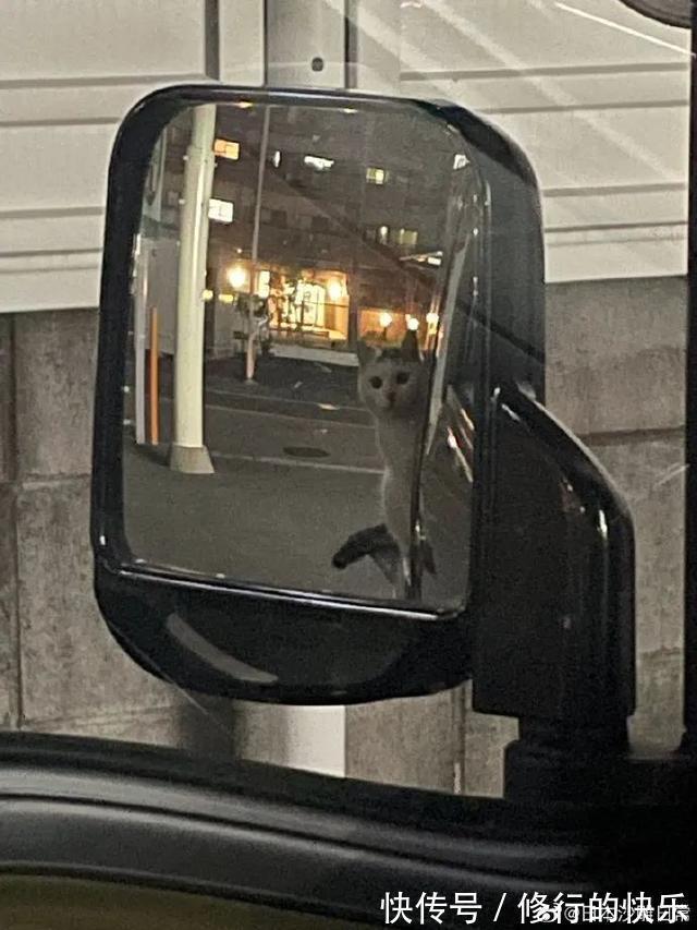 |冬至到底吃什么的终极答案 冷段子2018