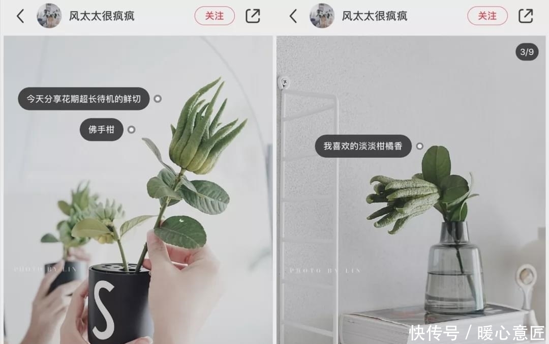 搞定|秋季多咳就吃它!一切一泡就搞定,全家都爱