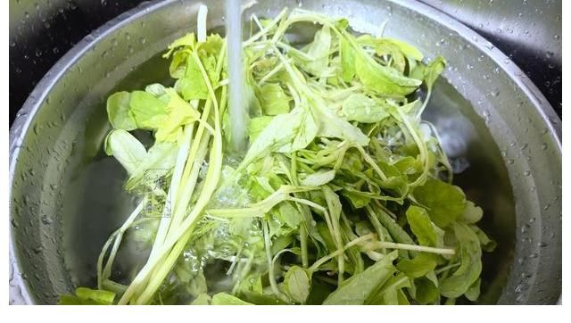 白粥|开学后,孩子早餐不将就,推荐这款早餐,营养好吃又易做,真简单