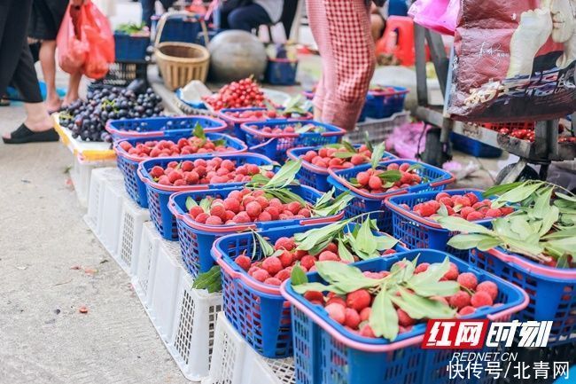 集市|蓝山：端午集市人气旺