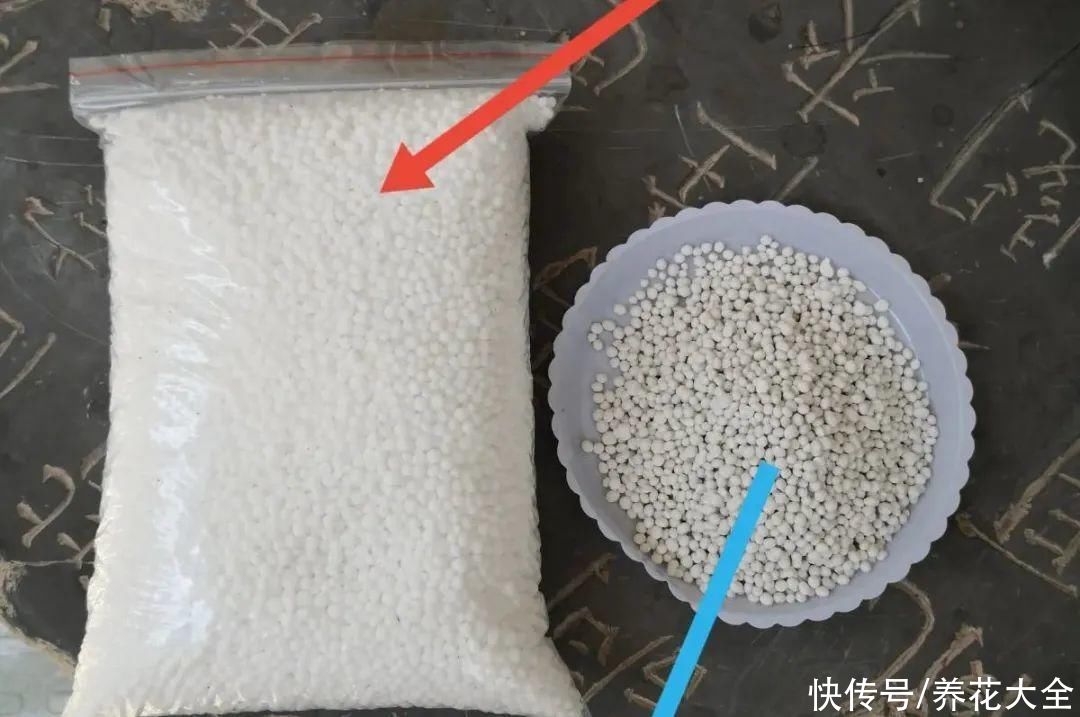 给花浇水掺点白醋,植物根比萝卜还粗,健壮不黄叶