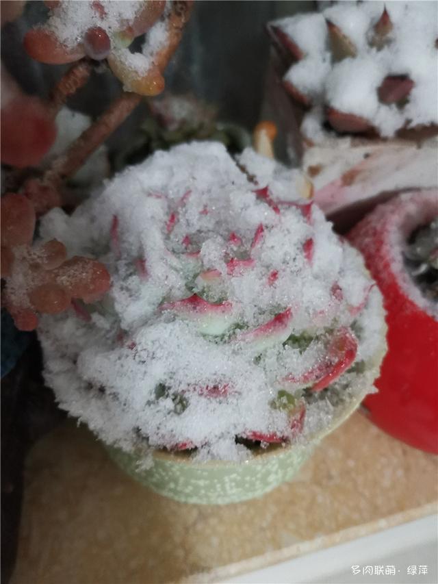 拈花一笑为红颜,无奈雨霾非吾恋