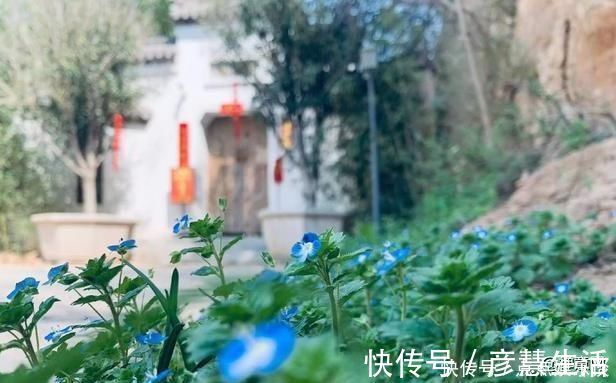 寻南溪常山道人隐居|刘长卿很有禅意的一首诗，入选《唐诗三百首》，适合心烦意乱时读