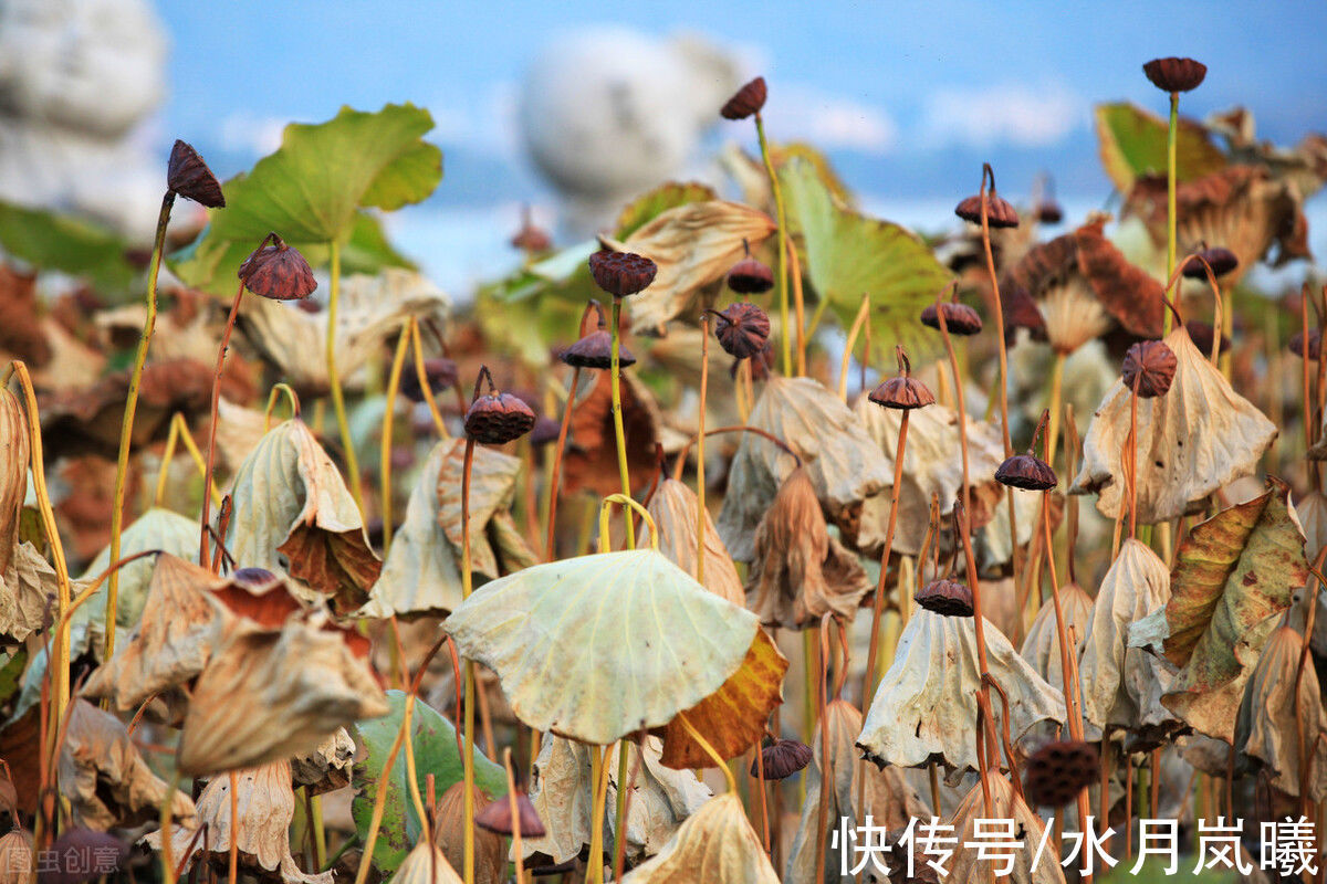 人间草木@愿有一人，待你如初，疼你入骨，懂你悲欢，知你冷暖