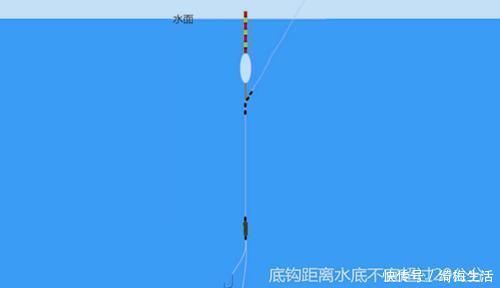 浮漂|钓鱼调漂技巧:想要调漂更准确,这三点绝对不能忽视!