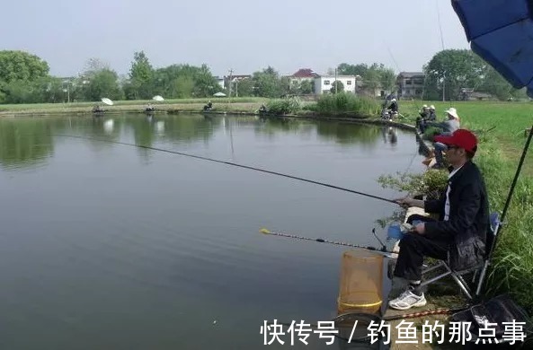 早春钓鲫,钓友记住这4点,保证你一钓一个准,鲫鱼一顿狂拉