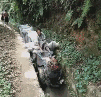 |搞笑GIF:我都不敢这么p,她却敢这么长!