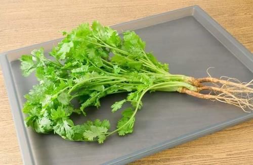 香菜不要当配菜了，农村姑娘教你1个新吃法，喝粥拌饭都是绝配