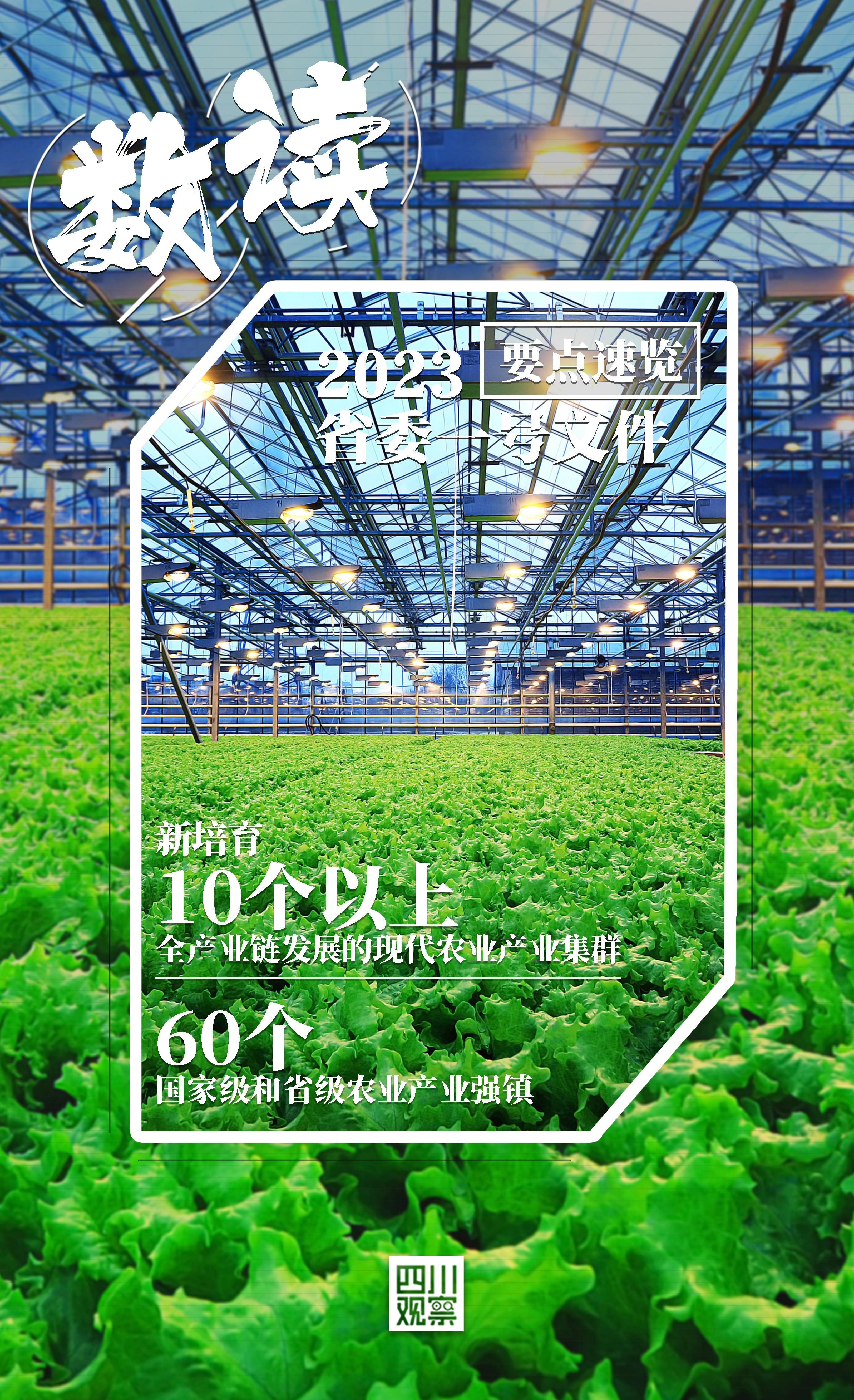 要点速览 ！ “数”读2023年四川省委一号文件