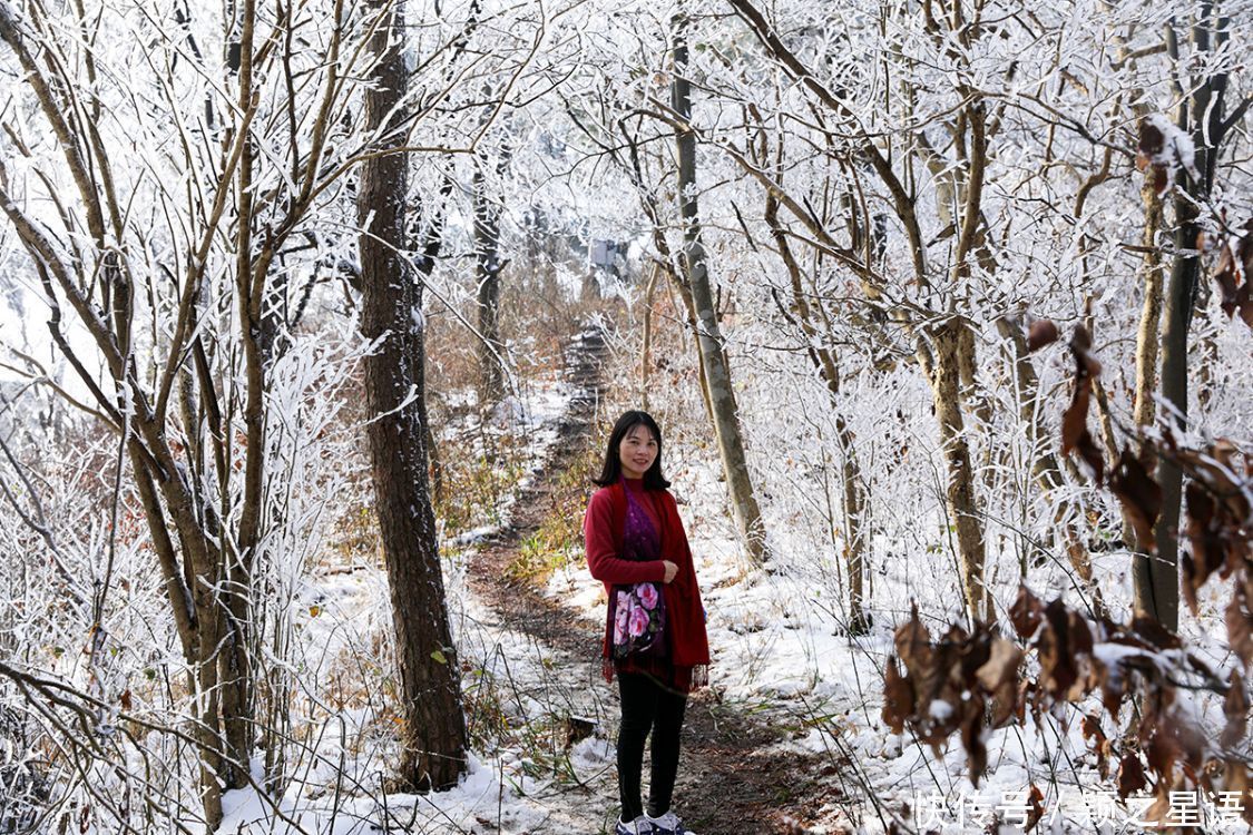 黄泥浆岗|宁波第二高峰，雪国风光，雾凇奇观