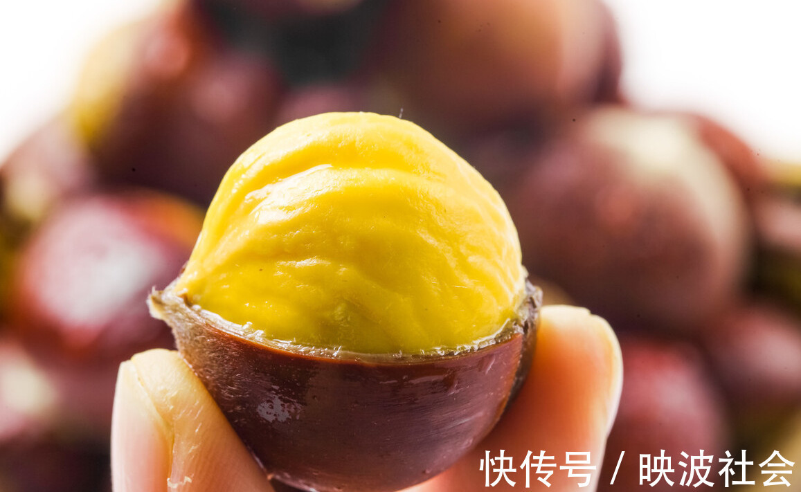 糖炒栗子|煮板栗,凉水下锅还是开水下锅教你正确做法,板栗好剥壳特别香