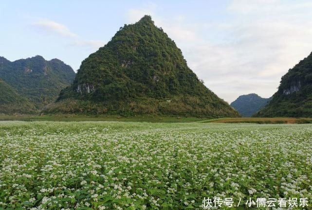 大唐|阳春三月，春回大地，三月赏花好去处