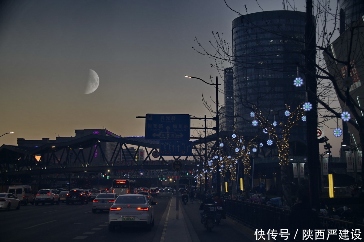 大片|遛弯上海夜景街拍【严建设】