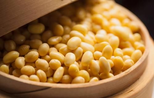 喜欢养绿植就多备些“黄豆水”，居家自制，不用多花钱、效果好