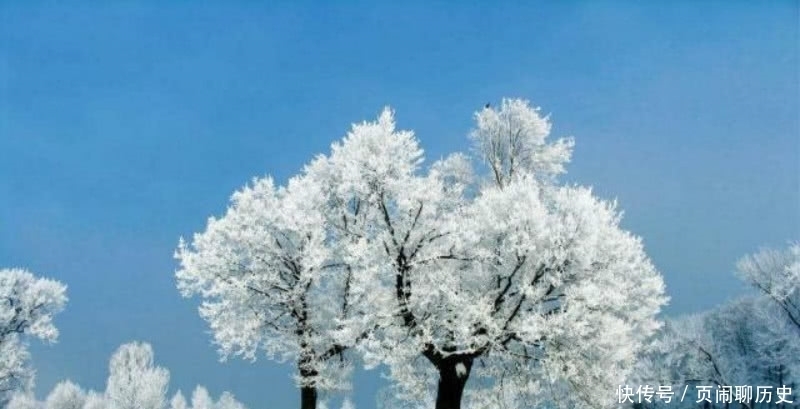 诗人|白居易在大雪纷的夜里想喝酒,写下一首趣诗,这样的诗魔当真可爱