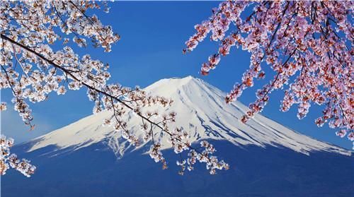 日本最牛房东:富士山是他家私产,政府都是租的,每年交巨额租金