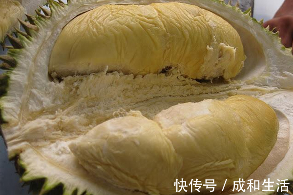 三九|此果带有臭味,却是女性最爱,滋补身体,告别痛经,清除子宫垃圾