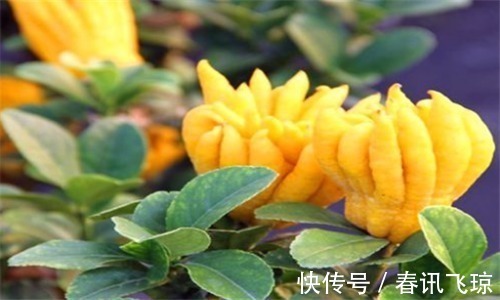 减脂|人到中年想长寿,不妨多吃3种食物,排毒抗衰,滋养肌肤