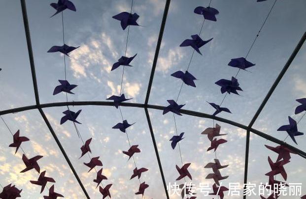 翅膀$“朱雀展翅,不富也贵”,什么是朱雀展翅?开业为啥叫开张?