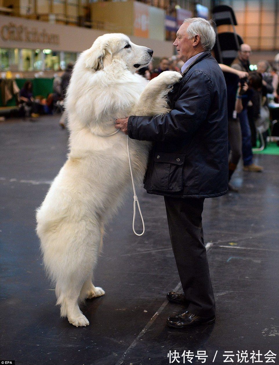 Hrmko3eghghqzm Hrmko3eghghqzm