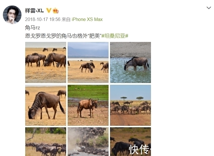 孟老师!清华美院男神酷似金城武!为一幅画累瘦17斤,堪比彩铅界“冷军”