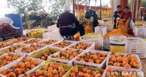 建议大家若不差钱，这6种陕西特产美食要尝尝，全吃过的不一般