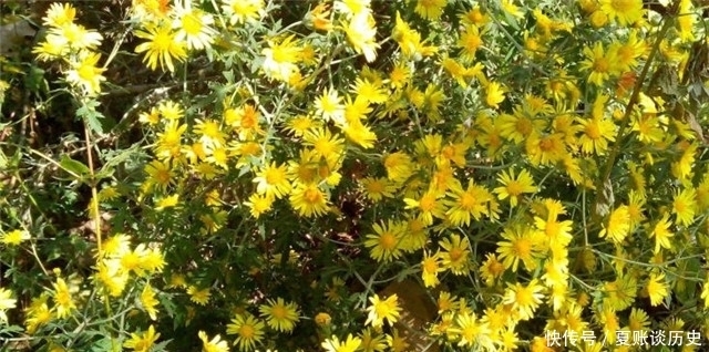 晚秋情诗小山词:红叶黄花秋意晚