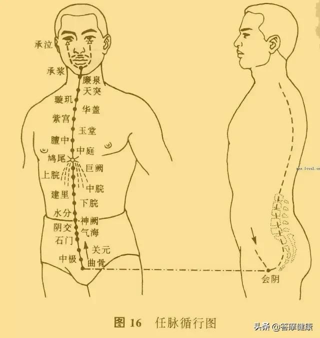 任脉上哪几个穴位最好用别太多，太多就烦了