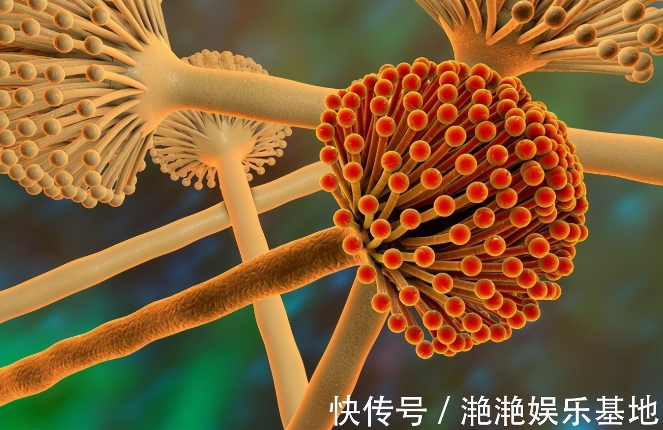 危害性|世界公认的“一级致癌物”,都列出来了,呼吁:有些食物不吃为好