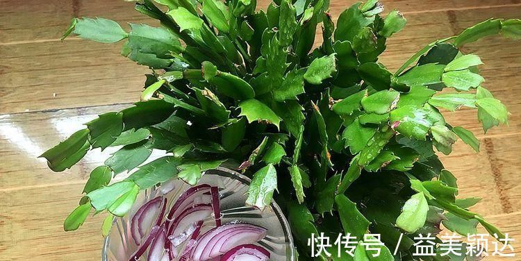扦插|养花长虫不开花?1个洋葱全搞定,虫子褪去,花开满盆!