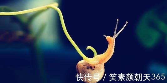 射手座|未来一个月,与旧爱复合成功,前任主动找你和好如初的四个星座